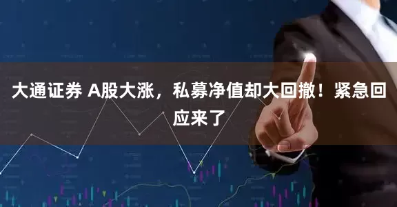 大通证券 A股大涨，私募净值却大回撤！紧急回应来了
