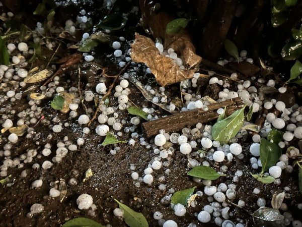 牛点策略 北京门头沟晚间突降冰雹