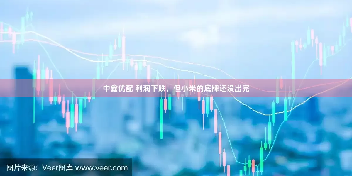 中鑫优配 利润下跌，但小米的底牌还没出完
